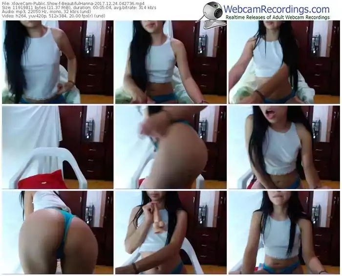 xlovecam-beautifulhanna-webcam-show-12_24_2017-04_27_36