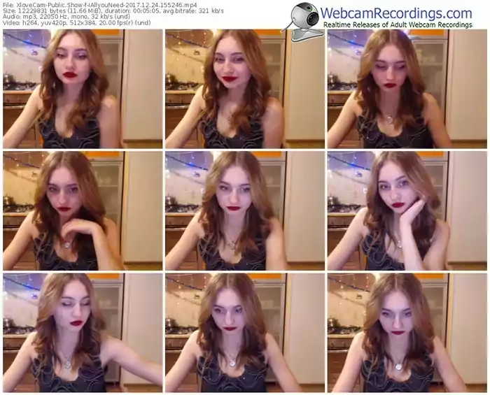 xlovecam-iallyouneed-webcam-show-12_24_2017-15_52_46