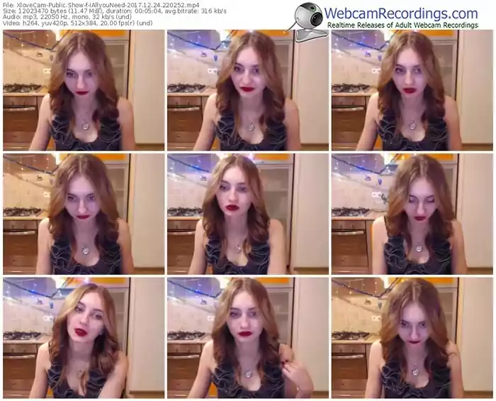 xlovecam-iallyouneed-webcam-show-12_24_2017-22_02_52
