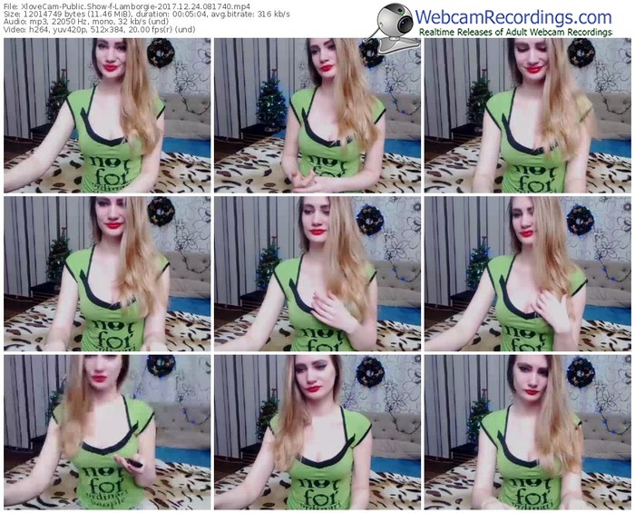 xlovecam-lamborgie-webcam-show-12_24_2017-08_17_40