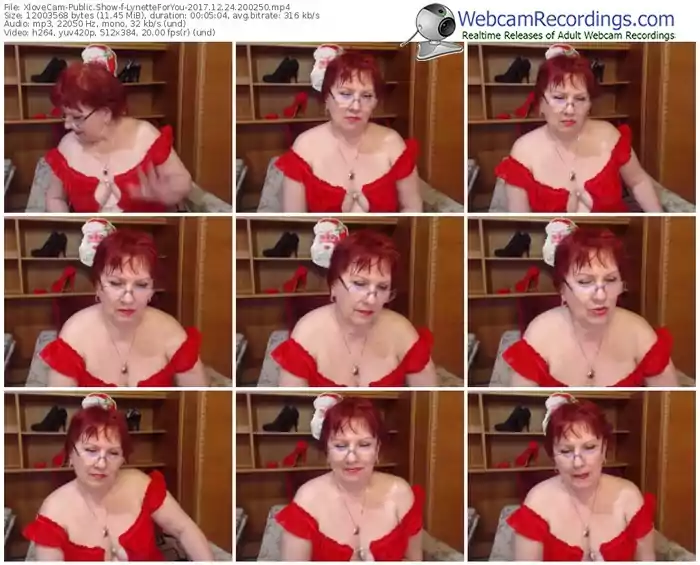 xlovecam-lynetteforyou-webcam-show-12_24_2017-20_02_50