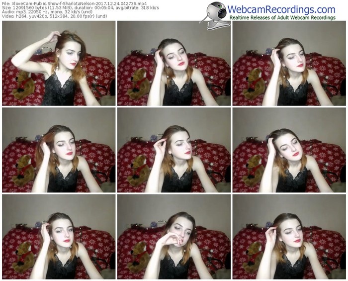 xlovecam-sharlotanelson-webcam-show-12_24_2017-04_27_36