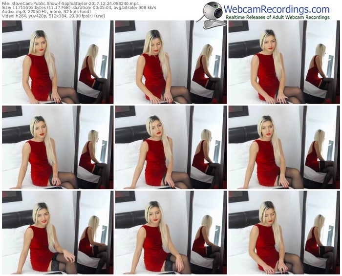 xlovecam-sophiataylor-webcam-show-12_24_2017-08_32_40