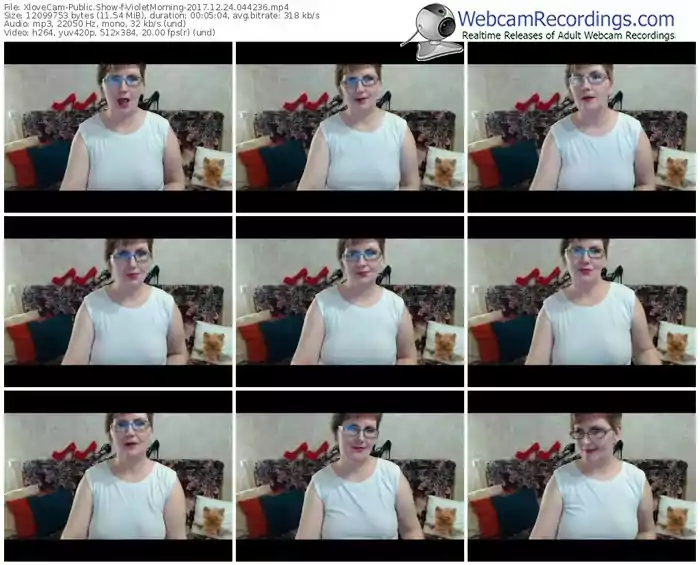 xlovecam-violetmorning-webcam-show-12_24_2017-04_42_36