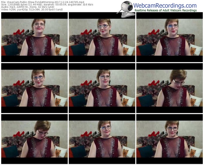 xlovecam-violetmorning-webcam-show-12_24_2017-14_07_45