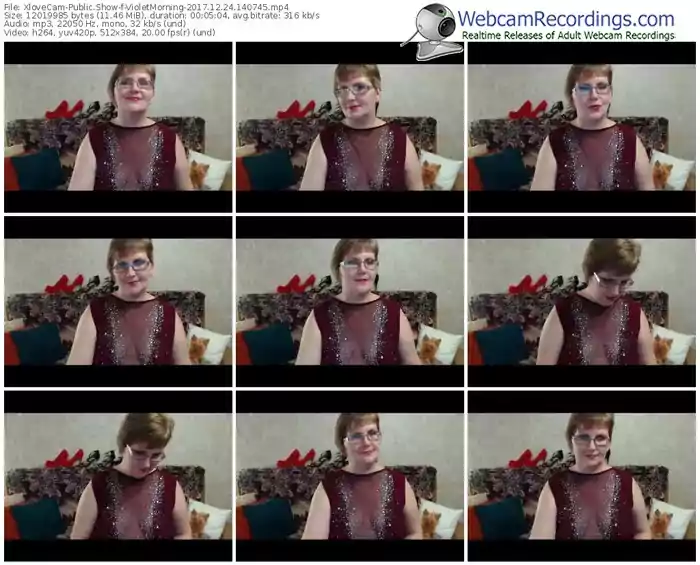 xlovecam-violetmorning-webcam-show-12_24_2017-14_07_45