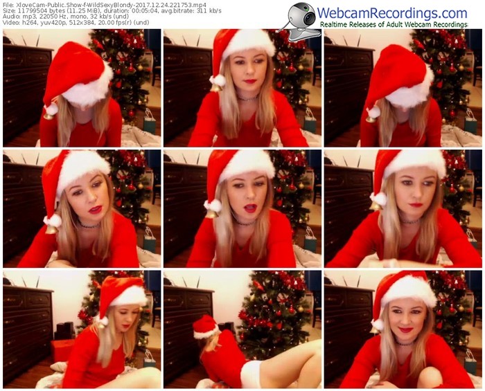 xlovecam-wildsexyblondy-webcam-show-12_24_2017-22_17_53