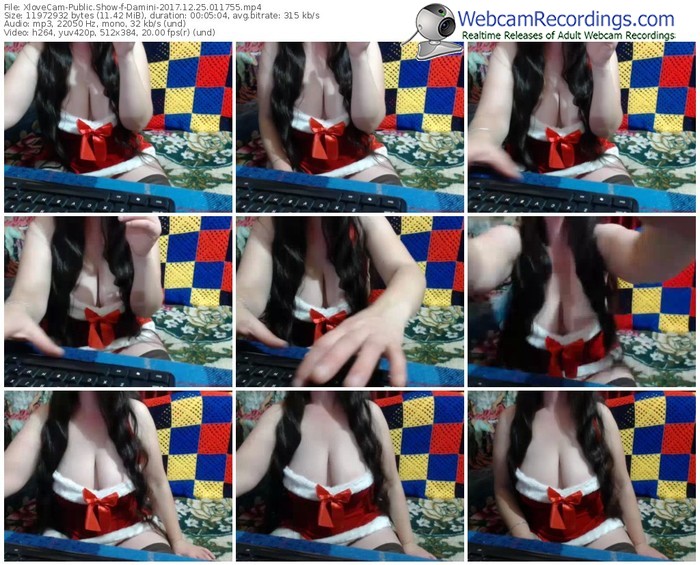 xlovecam-damini-webcam-show-12_25_2017-01_17_55