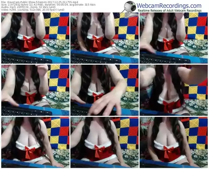 xlovecam-damini-webcam-show-12_25_2017-01_17_55