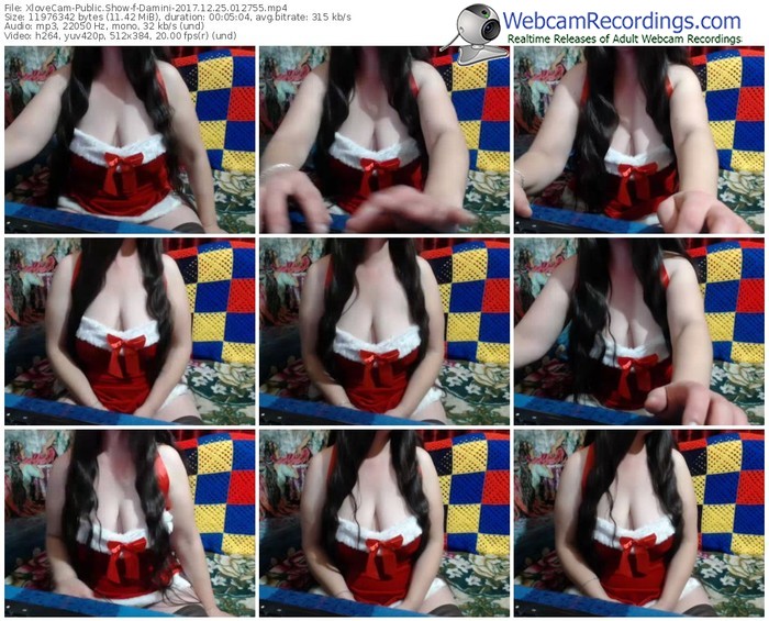 xlovecam-damini-webcam-show-12_25_2017-01_27_55