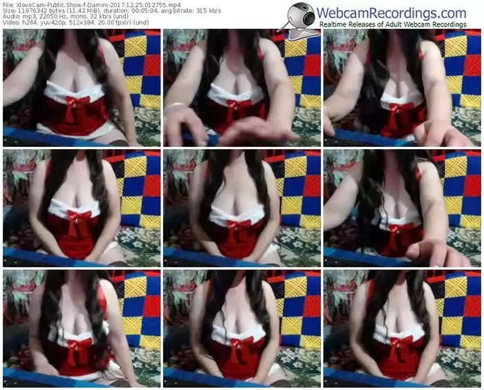 xlovecam-damini-webcam-show-12_25_2017-01_27_55