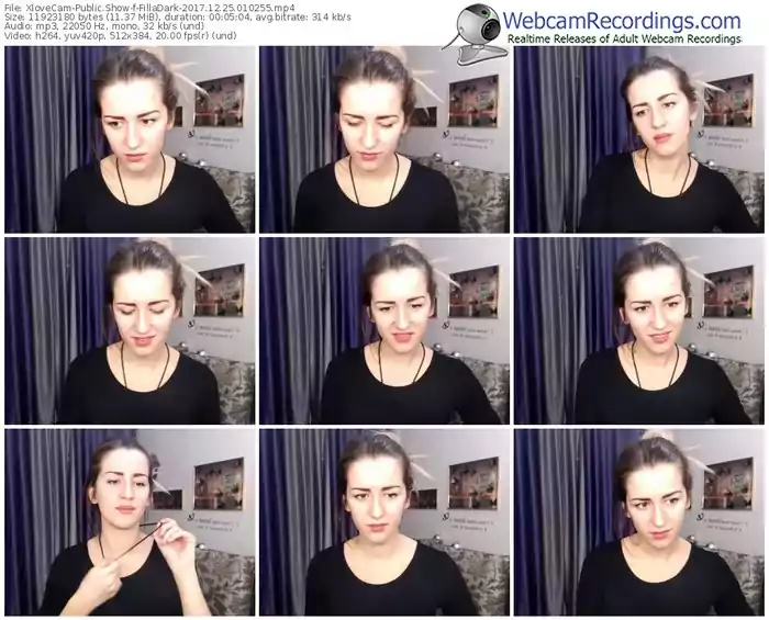 xlovecam-filladark-webcam-show-12_25_2017-01_02_55