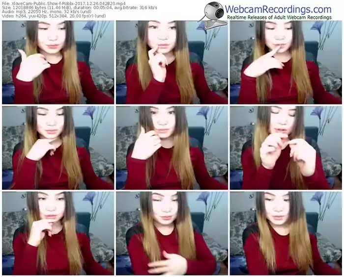 xlovecam-robbi-webcam-show-12_26_2017-04_28_20