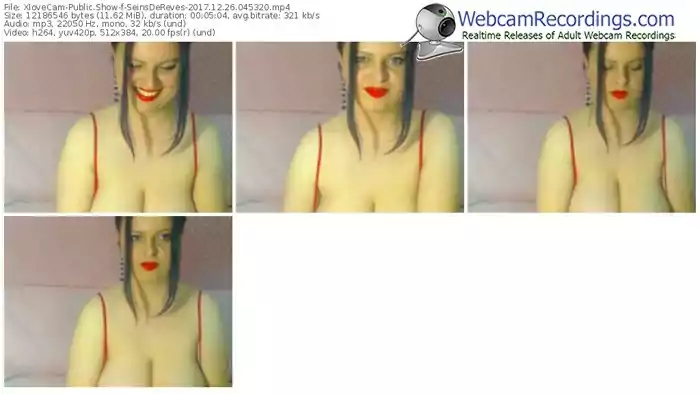 xlovecam-seinsdereves-webcam-show-12_26_2017-04_53_20