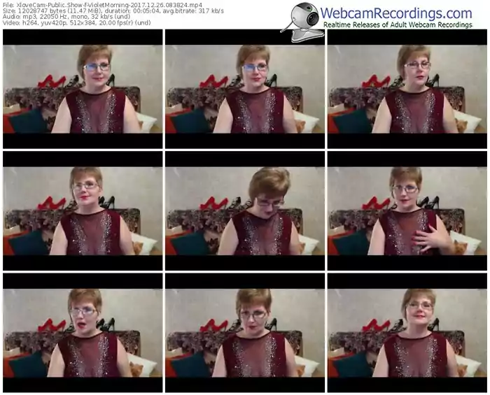 xlovecam-violetmorning-webcam-show-12_26_2017-08_38_24