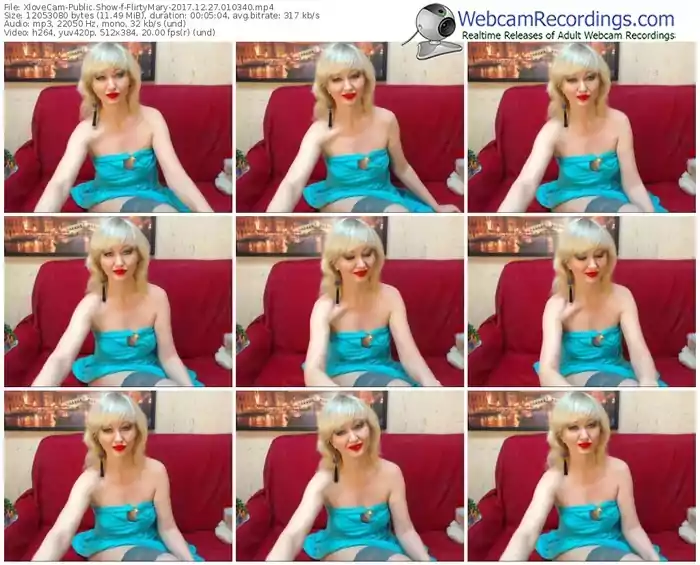 xlovecam-flirtymary-webcam-show-12_27_2017-01_03_40