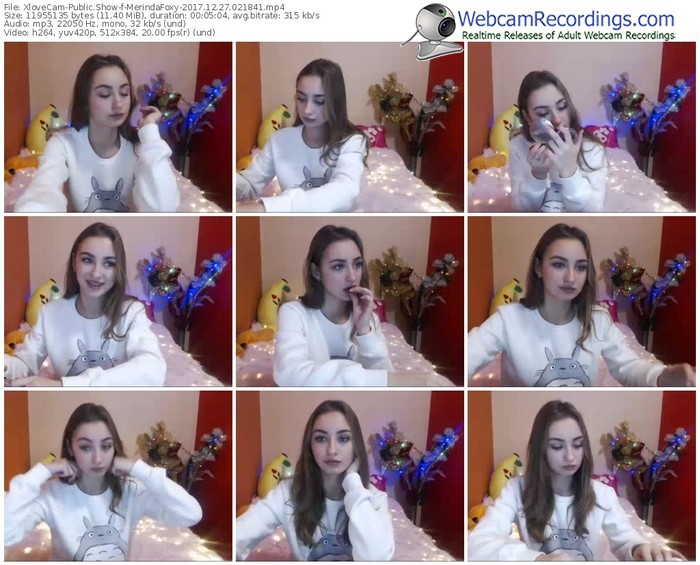 xlovecam-merindafoxy-webcam-show-12_27_2017-02_18_41