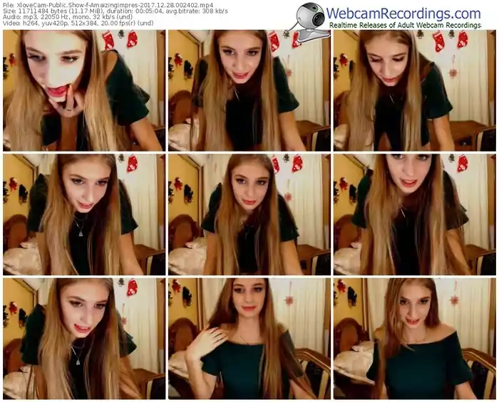 xlovecam-amaizingimpres-webcam-show-12_28_2017-00_24_02