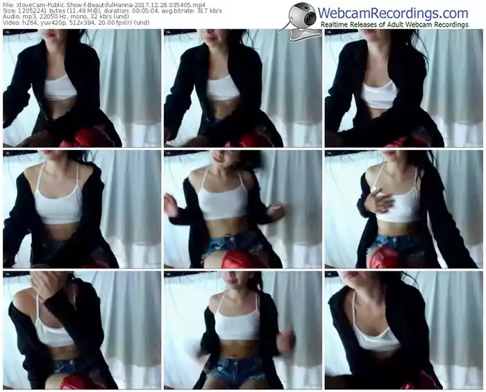 xlovecam-beautifulhanna-webcam-show-12_28_2017-03_54_05