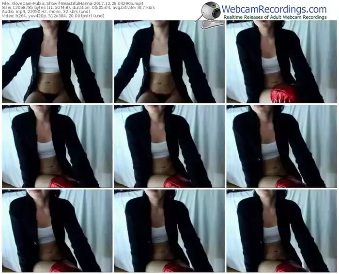 xlovecam-beautifulhanna-webcam-show-12_28_2017-04_29_05