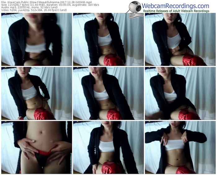 xlovecam-beautifulhanna-webcam-show-12_28_2017-04_39_06