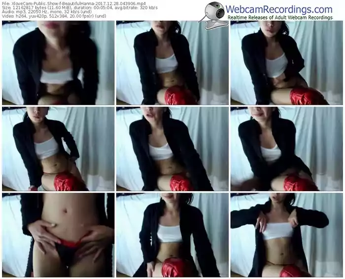 xlovecam-beautifulhanna-webcam-show-12_28_2017-04_39_06