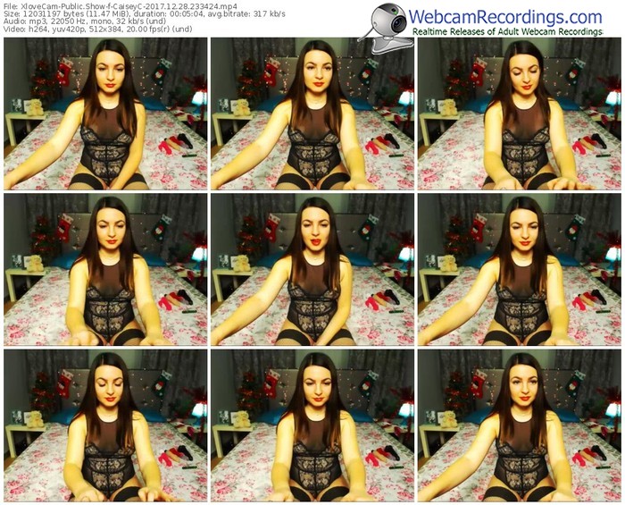 xlovecam-caiseyc-webcam-show-12_28_2017-23_34_24