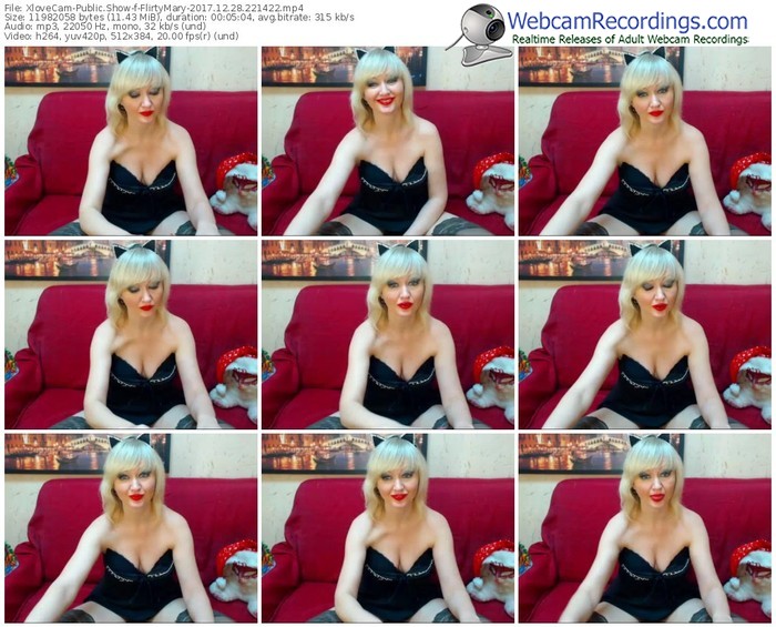 xlovecam-flirtymary-webcam-show-12_28_2017-22_14_22