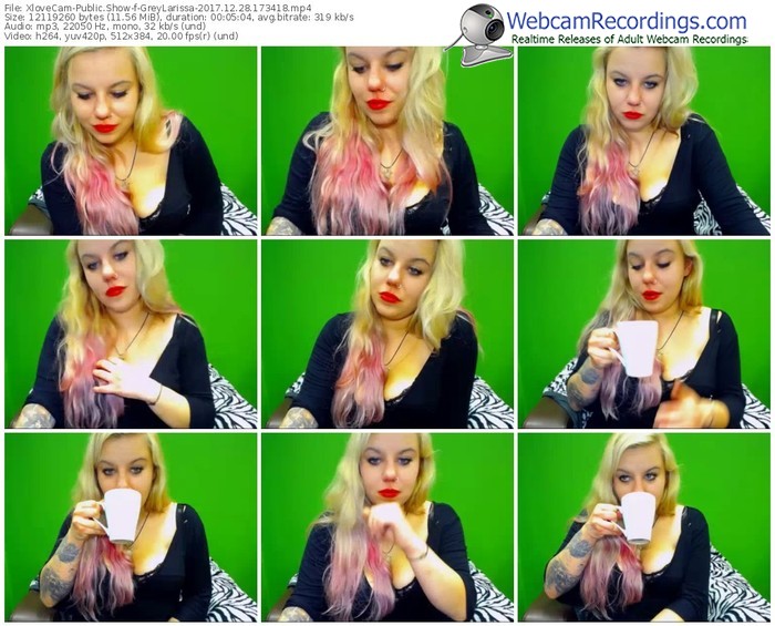 xlovecam-greylarissa-webcam-show-12_28_2017-17_34_18