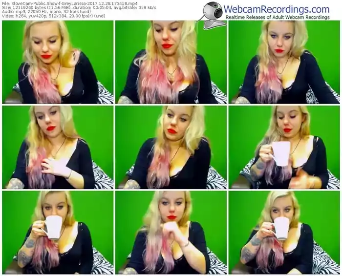 xlovecam-greylarissa-webcam-show-12_28_2017-17_34_18