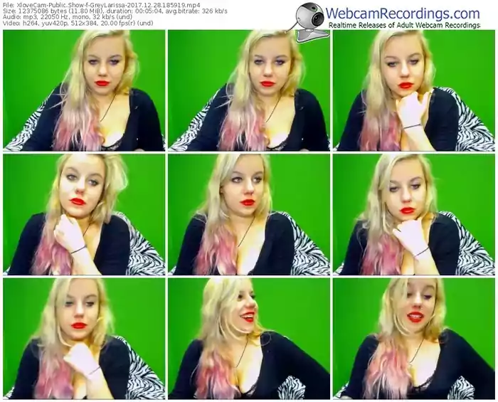 xlovecam-greylarissa-webcam-show-12_28_2017-18_59_19