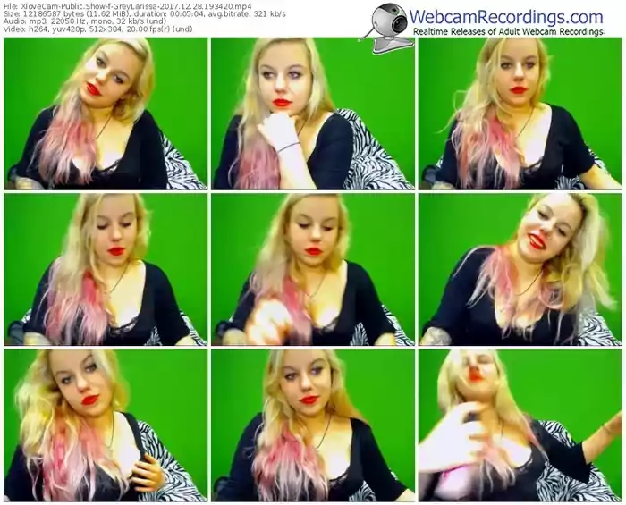 xlovecam-greylarissa-webcam-show-12_28_2017-19_34_20
