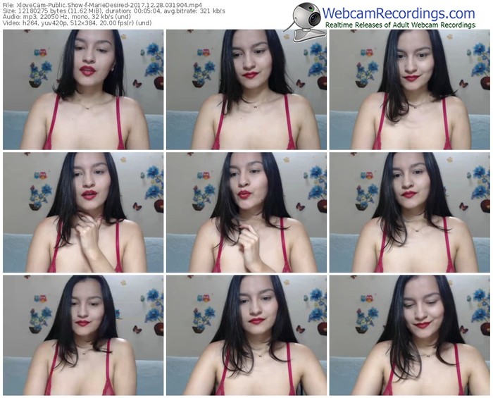 xlovecam-mariedesired-webcam-show-12_28_2017-03_19_04