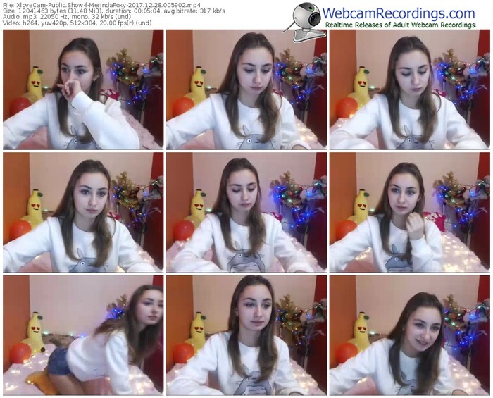 xlovecam-merindafoxy-webcam-show-12_28_2017-00_59_02