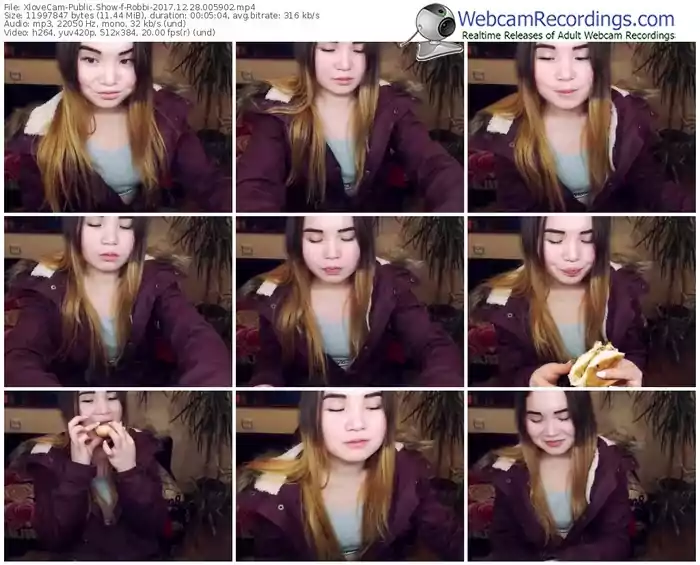 xlovecam-robbi-webcam-show-12_28_2017-00_59_02