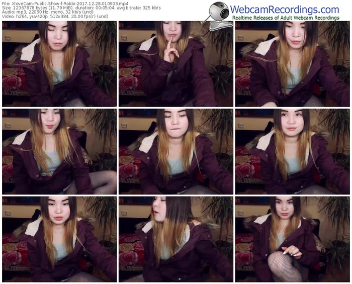 xlovecam-robbi-webcam-show-12_28_2017-01_09_03