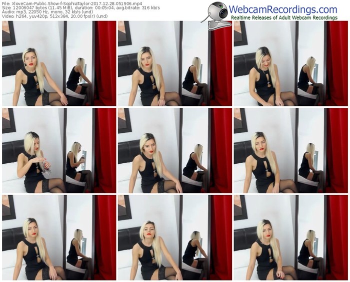 xlovecam-sophiataylor-webcam-show-12_28_2017-05_19_06