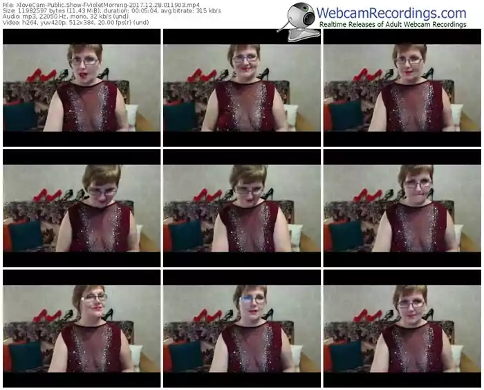 xlovecam-violetmorning-webcam-show-12_28_2017-01_19_03