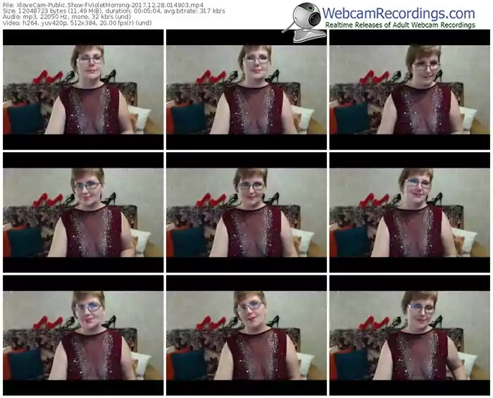 xlovecam-violetmorning-webcam-show-12_28_2017-01_49_03