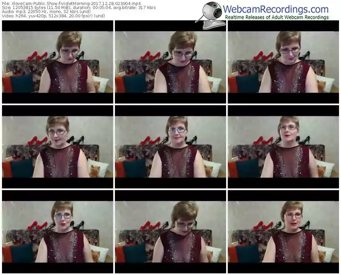 xlovecam-violetmorning-webcam-show-12_28_2017-02_39_04