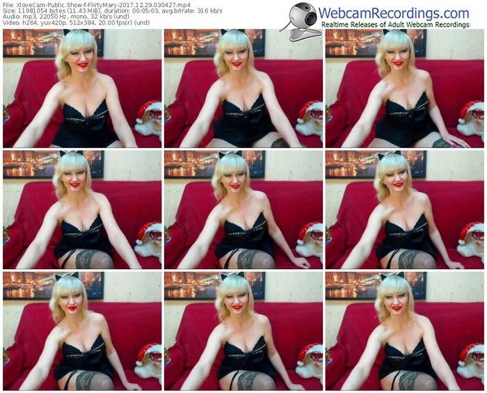xlovecam-flirtymary-webcam-show-12_29_2017-03_04_27
