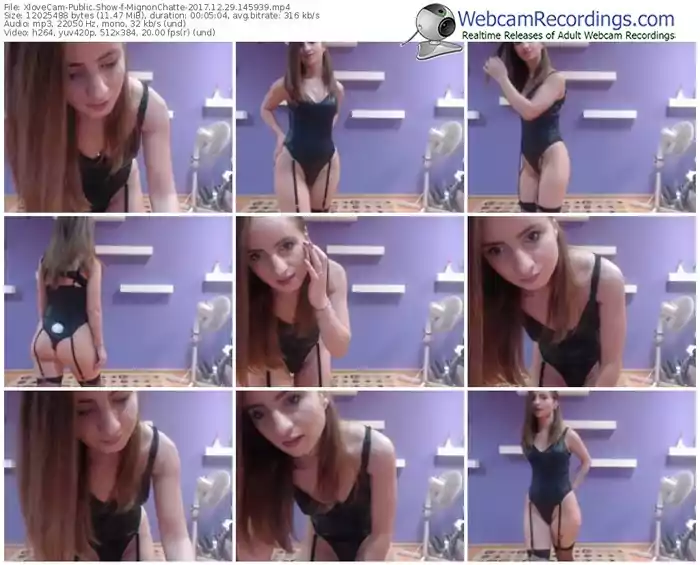 xlovecam-mignonchatte-webcam-show-12_29_2017-14_59_39