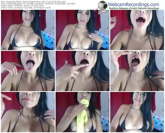 xlovecam-sandrasein-webcam-show-12_29_2017-05_14_29