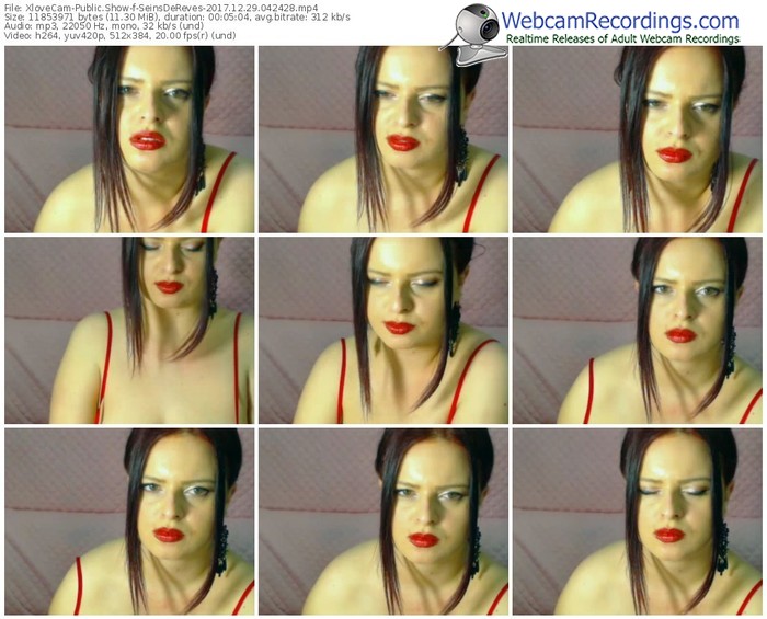 xlovecam-seinsdereves-webcam-show-12_29_2017-04_24_28