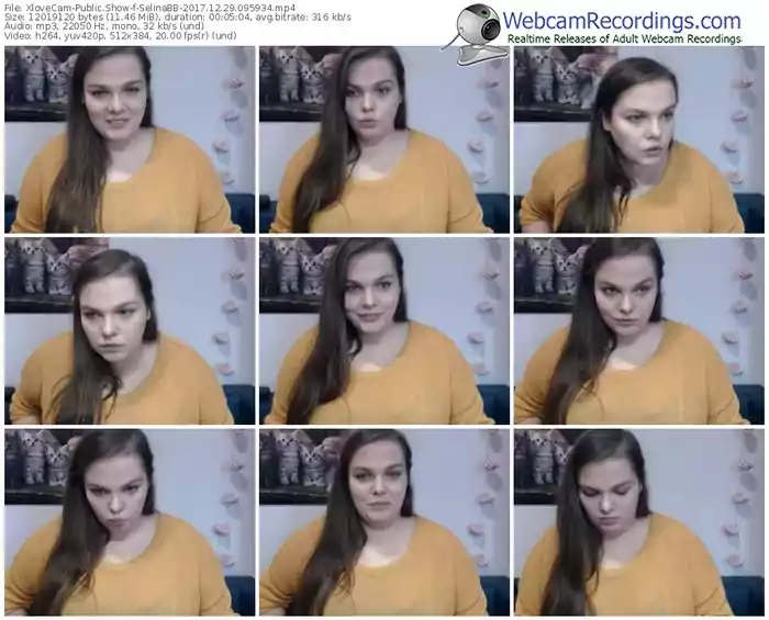 xlovecam-selinabb-webcam-show-12_29_2017-09_59_34