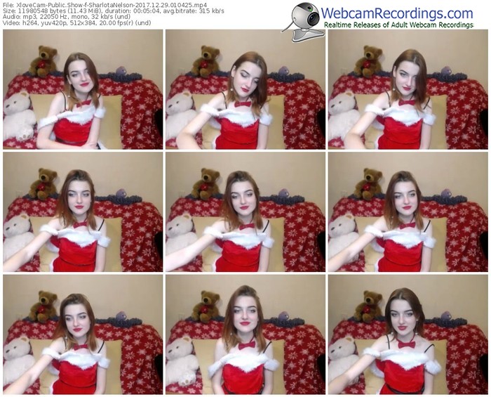 xlovecam-sharlotanelson-webcam-show-12_29_2017-01_04_25