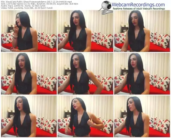 xlovecam-vanessaadams-webcam-show-12_29_2017-04_49_29