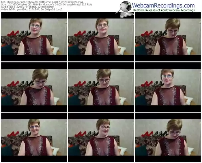 xlovecam-violetmorning-webcam-show-12_29_2017-03_09_27