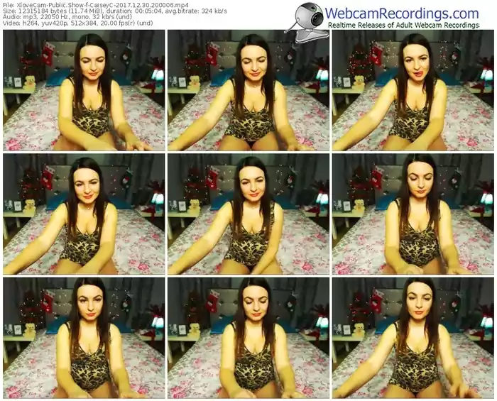 xlovecam-caiseyc-webcam-show-12_30_2017-20_00_06