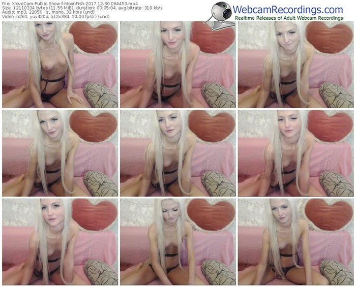 xlovecam-moonfish-webcam-show-12_30_2017-06_44_53